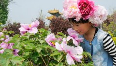 菏泽世贸中心--牡丹会