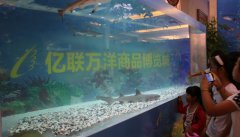 宝丰项目--海洋生物展