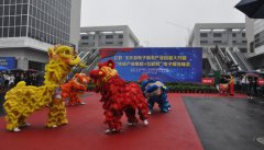 玉环项目--电商园盛大开园