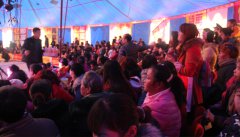 云阳项目--马戏节