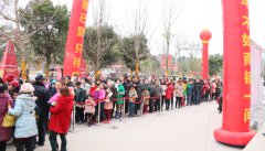 蓬溪项目--皇家马戏嘉年华